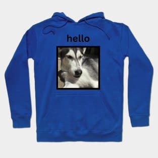 Husky Squinting Simple Hello Design Hoodie